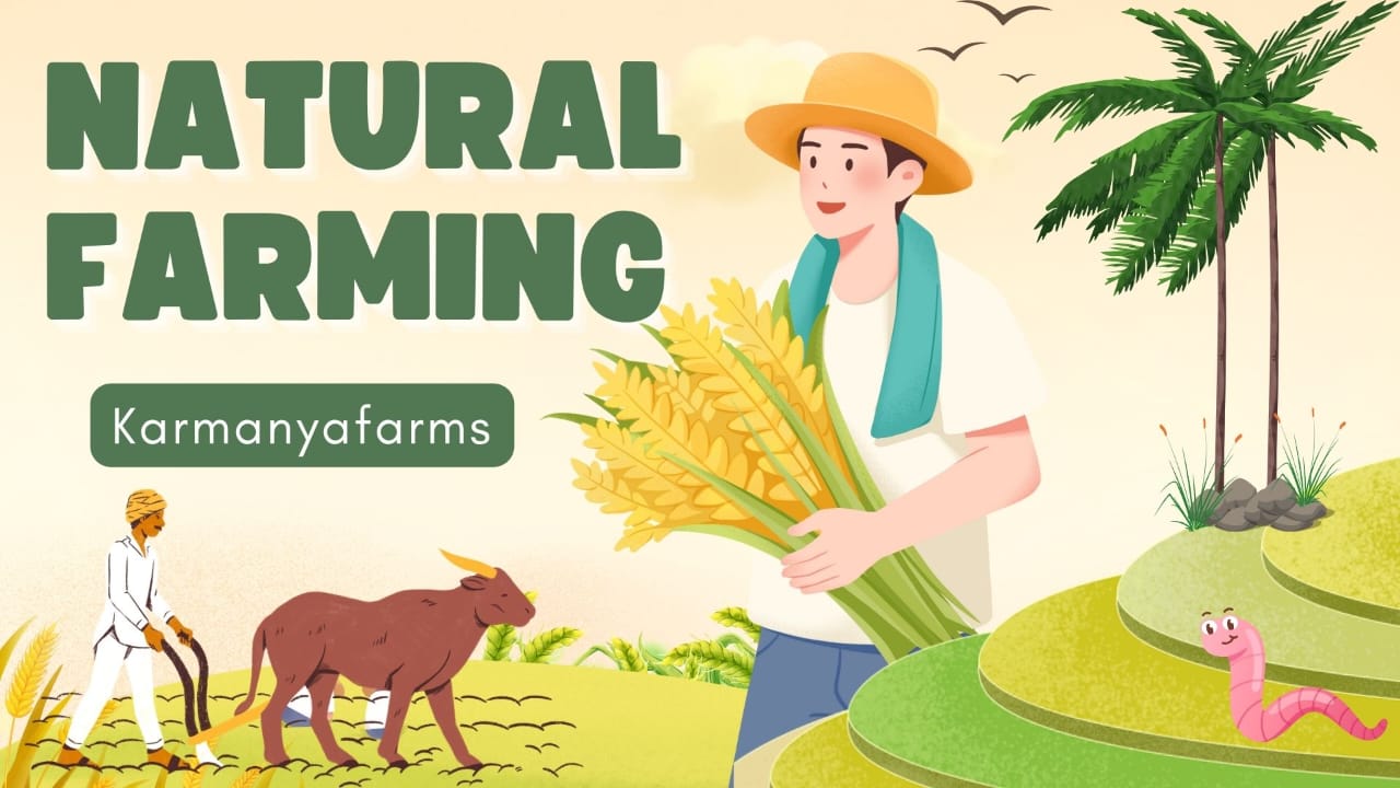 Natural Farming